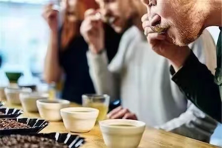 杯测评委